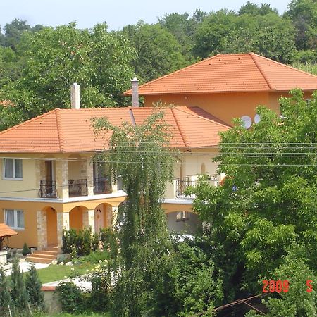 Janus Apartman Sarvar Ngoại thất bức ảnh